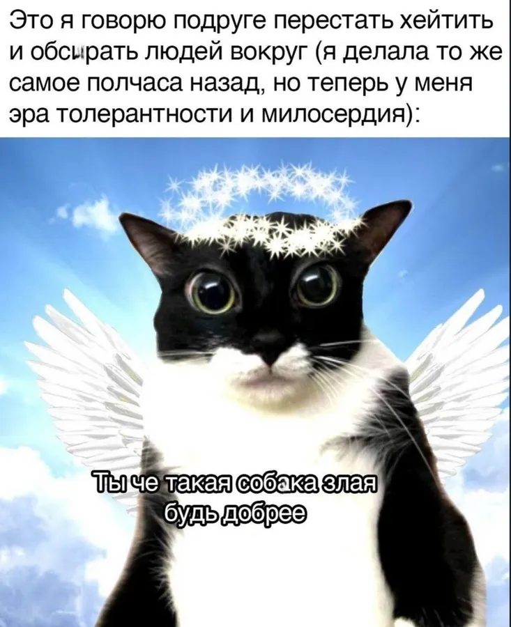Untitled meme
