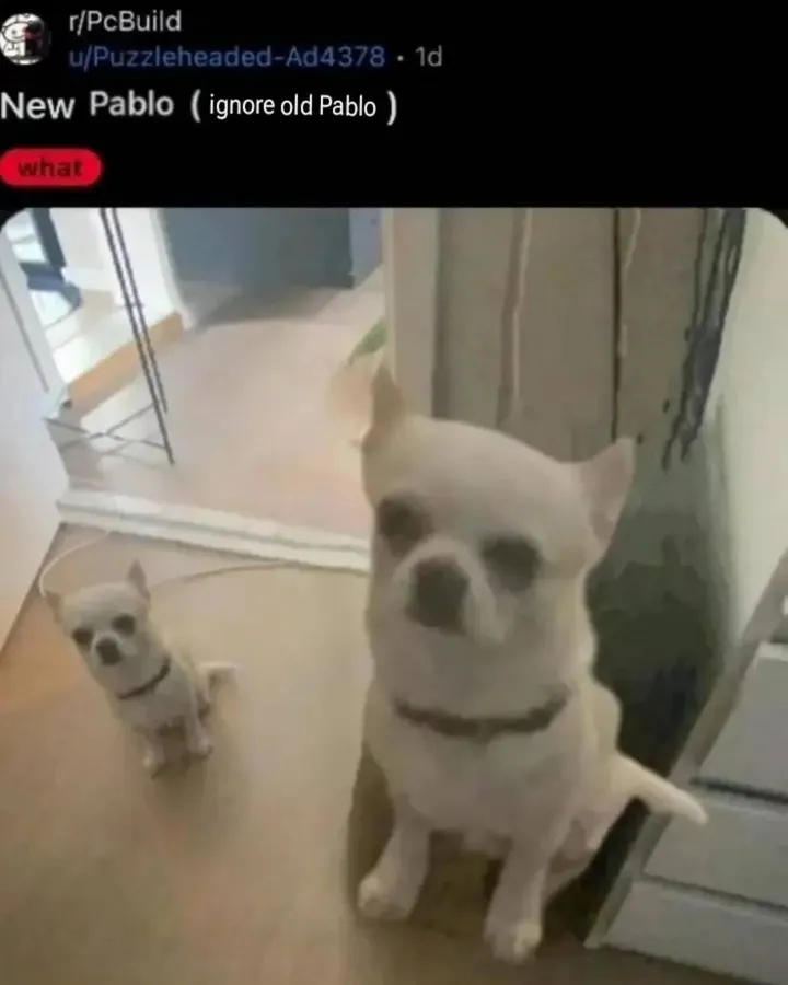 Untitled meme