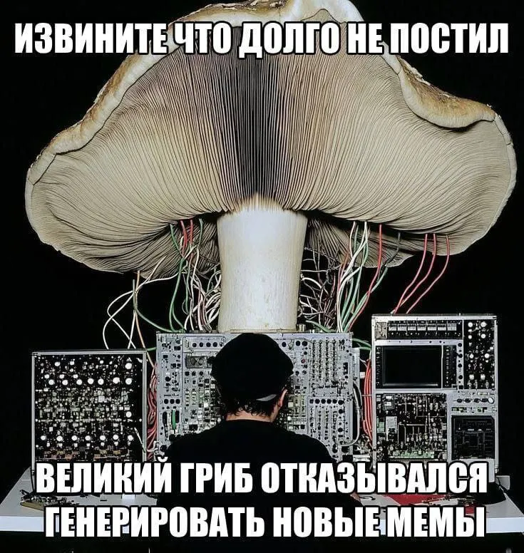 Untitled meme