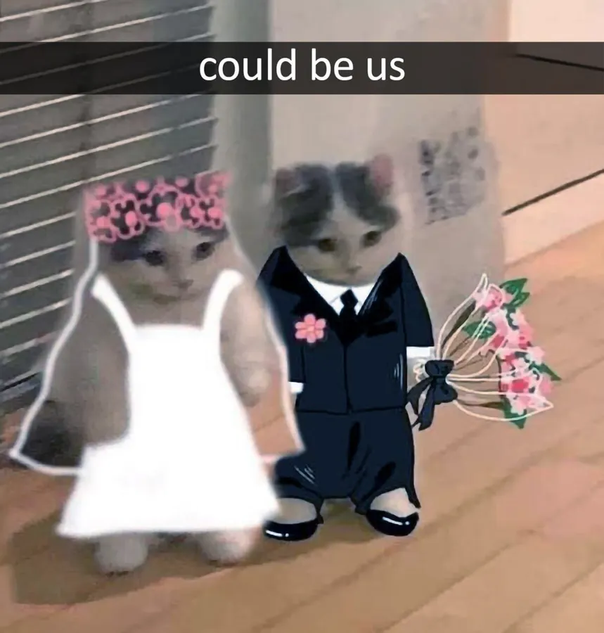 Untitled meme