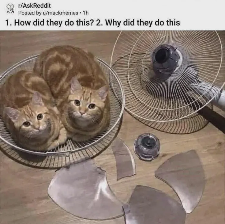 Untitled meme