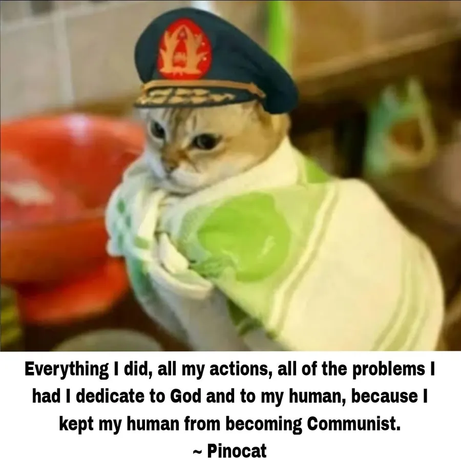 Untitled meme