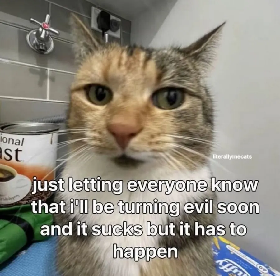 Untitled meme