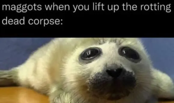 Untitled meme