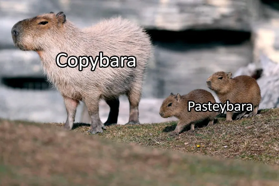 Untitled meme