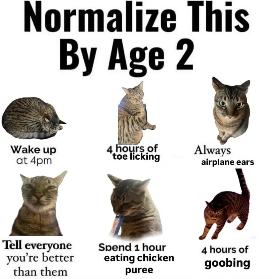Untitled meme