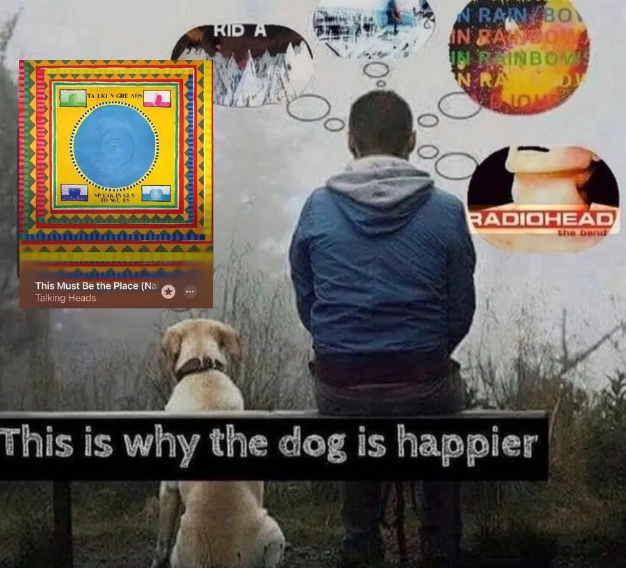 Untitled meme
