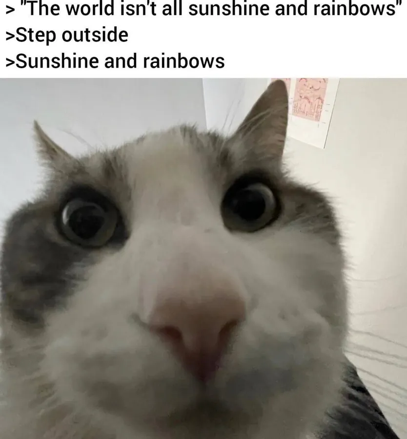 Untitled meme