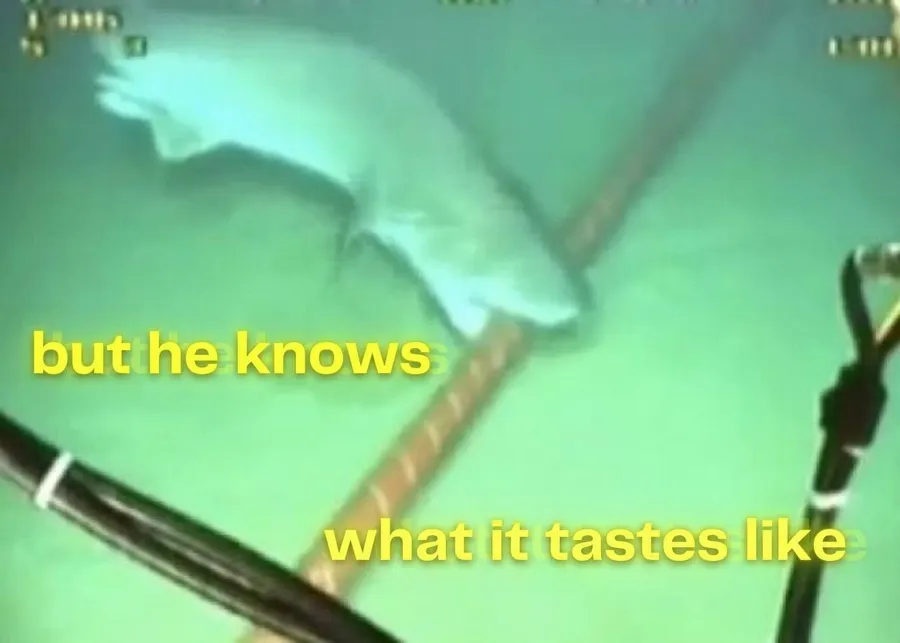 Untitled meme