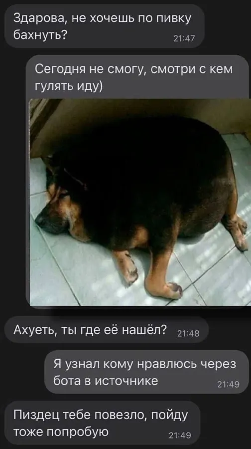 Untitled meme