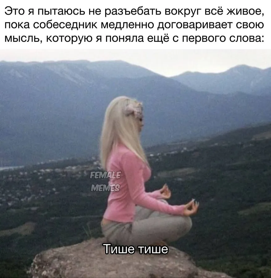 Untitled meme
