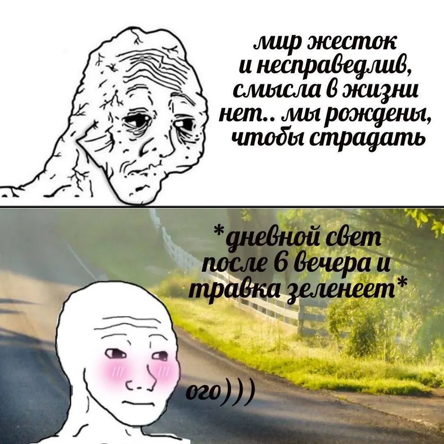 Untitled meme