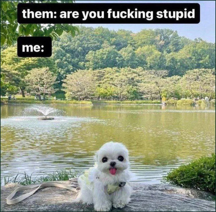 Untitled meme