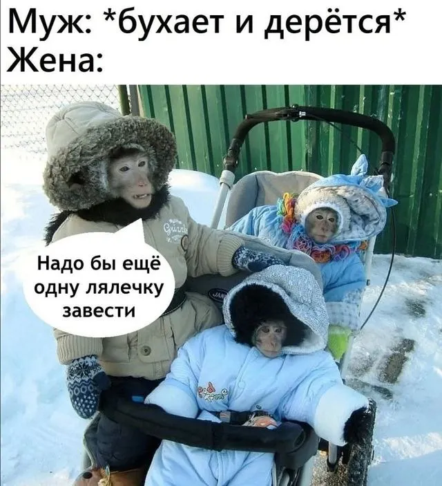Untitled meme
