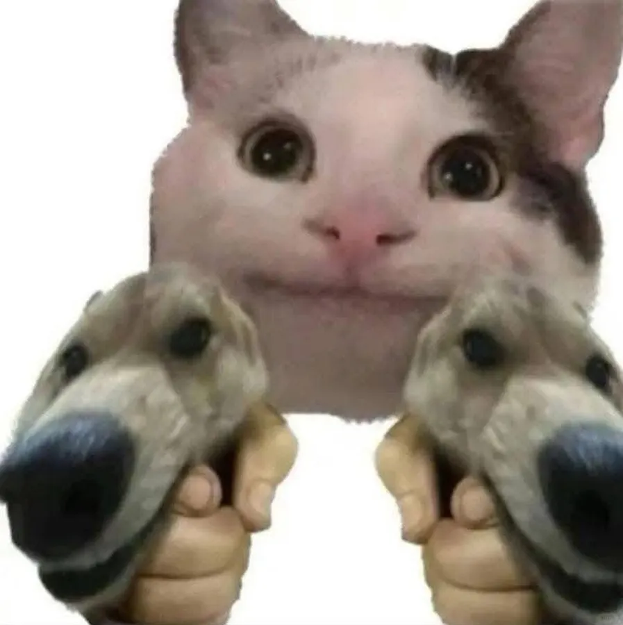 Untitled meme