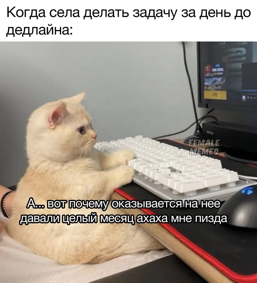 Untitled meme