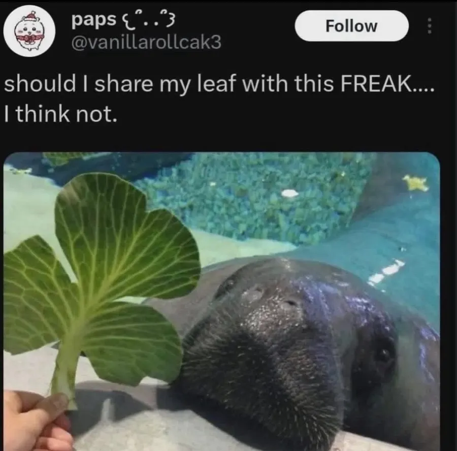 Untitled meme