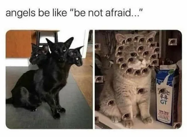 Untitled meme