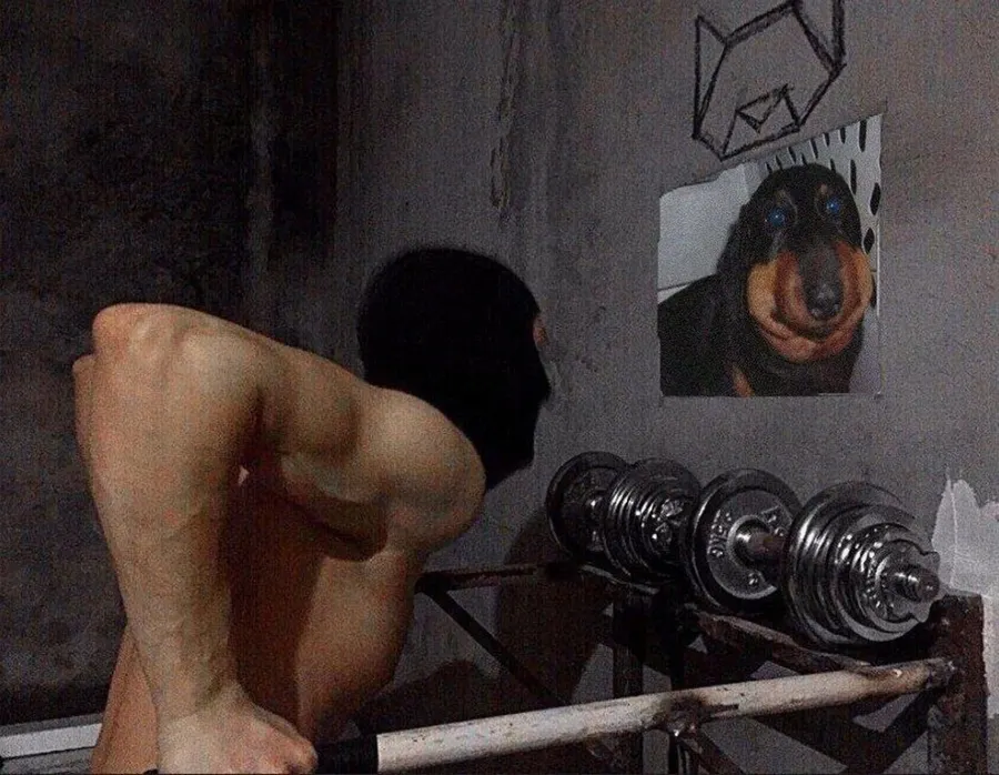 Untitled meme