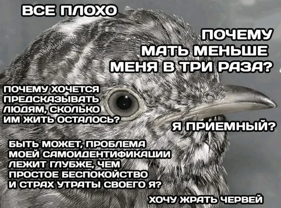 Untitled meme