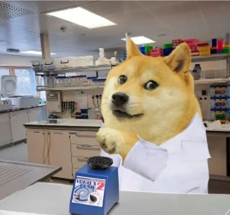 Untitled meme