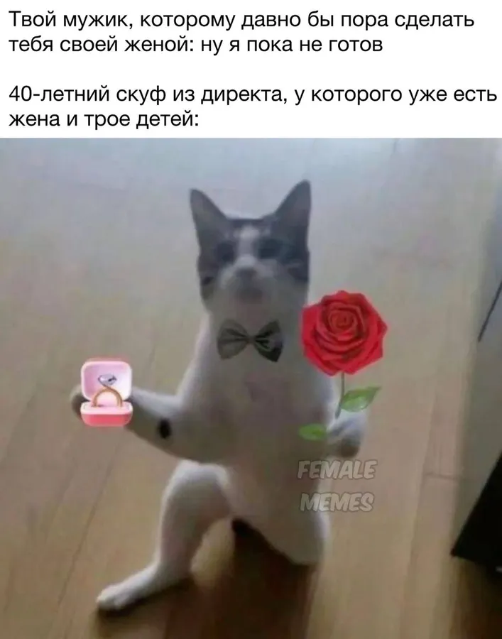 Untitled meme