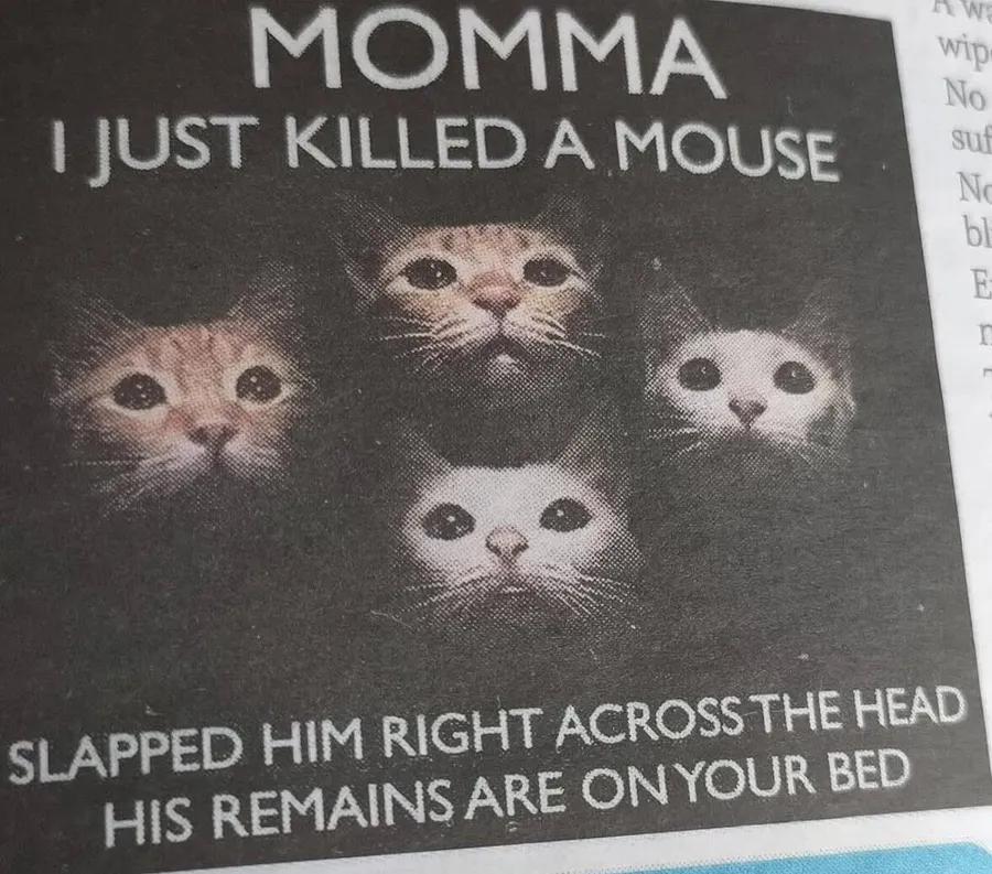 Untitled meme