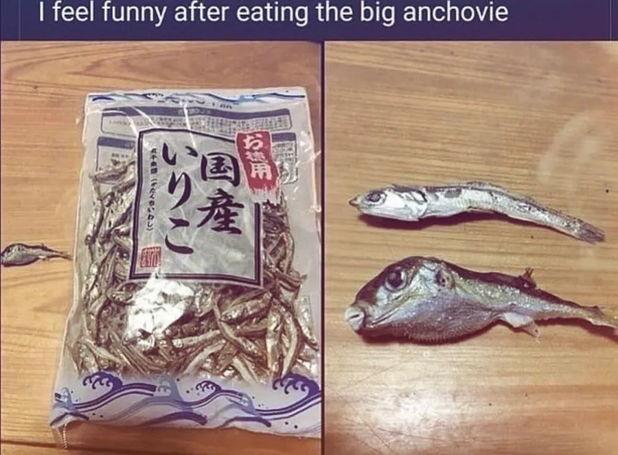 Untitled meme