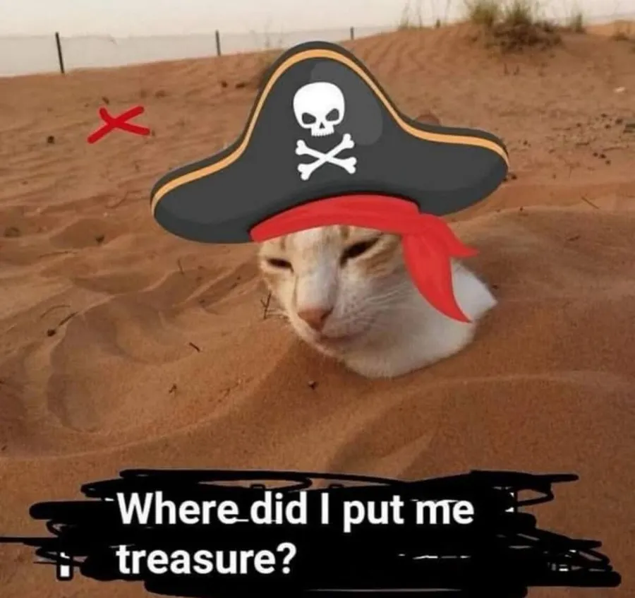 Untitled meme