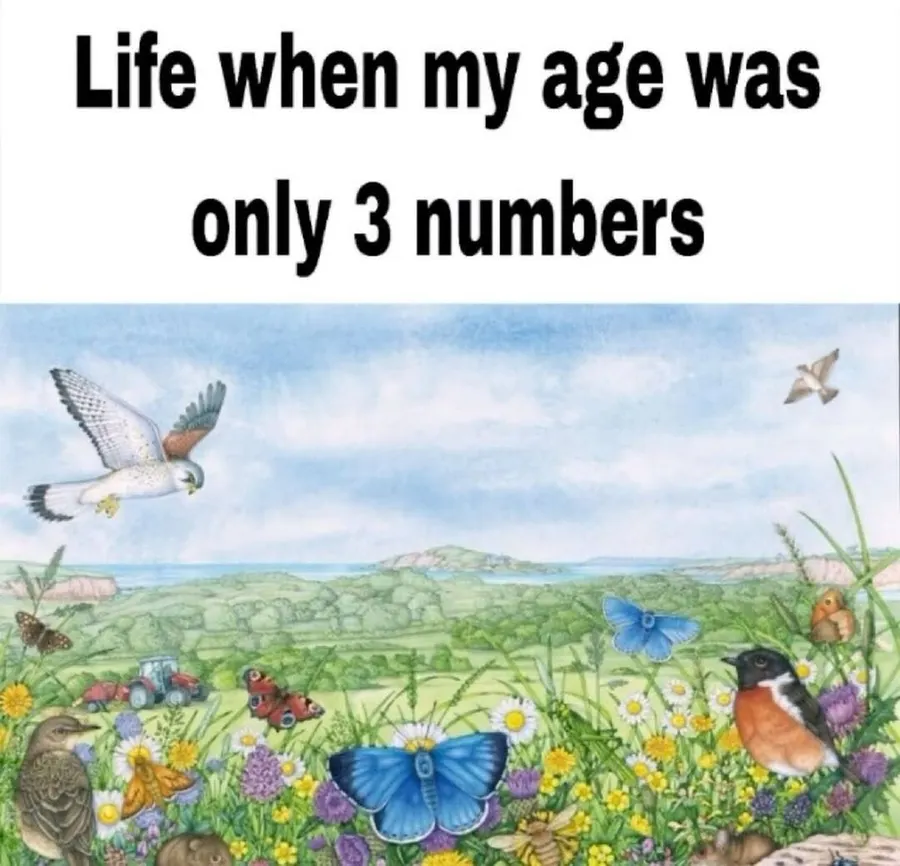 Untitled meme
