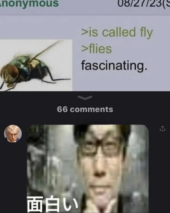 Untitled meme