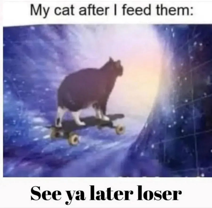 Untitled meme