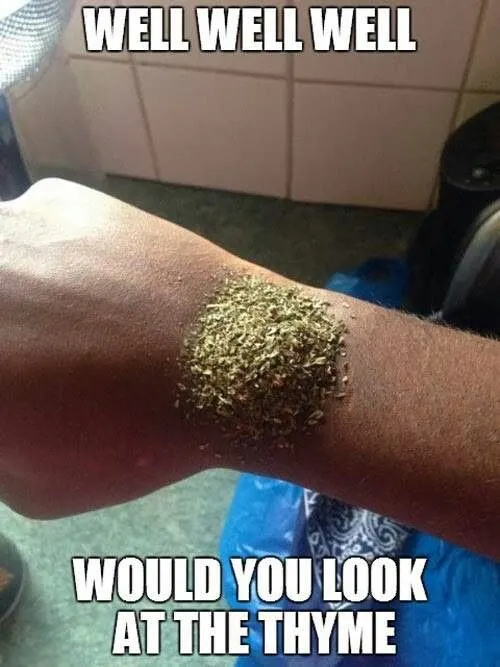 Untitled meme