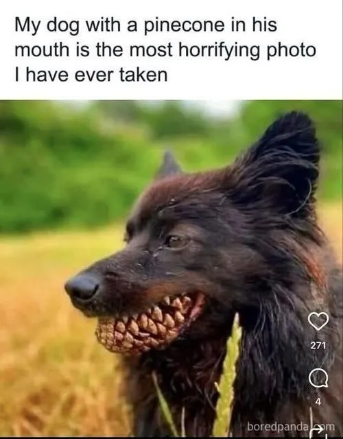 Untitled meme