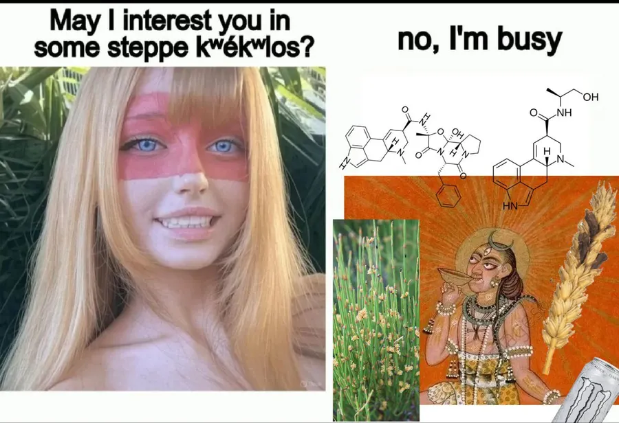 Untitled meme