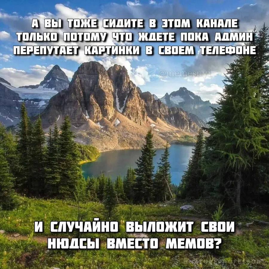 Untitled meme