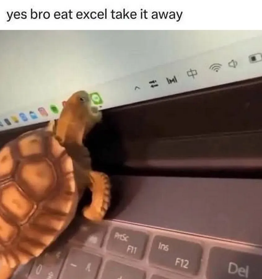 Untitled meme