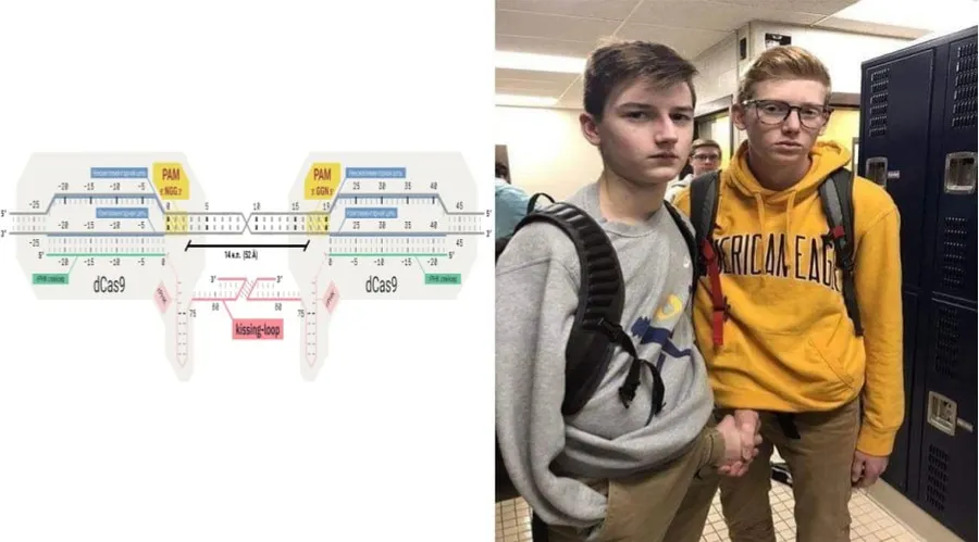 Untitled meme