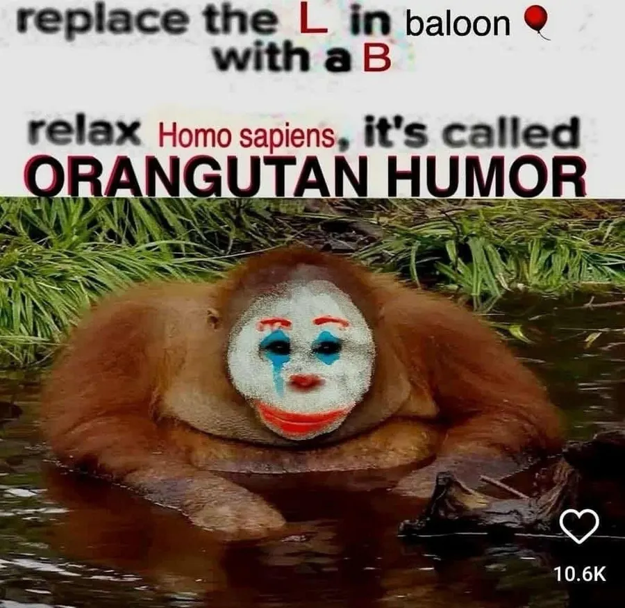 Untitled meme