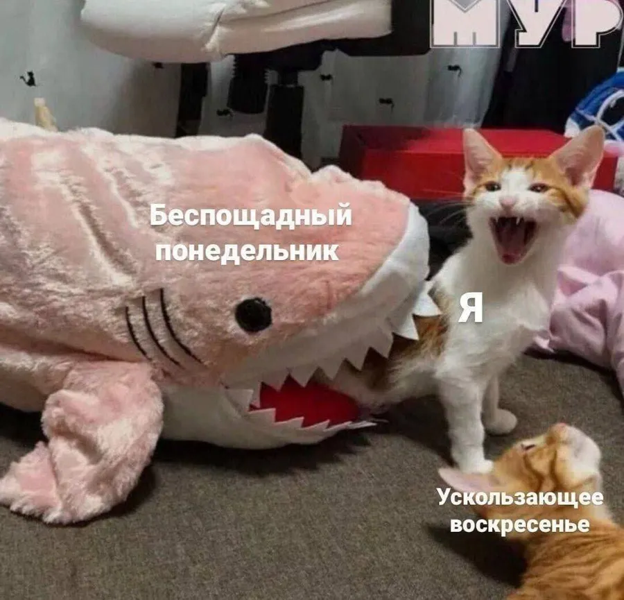 Untitled meme