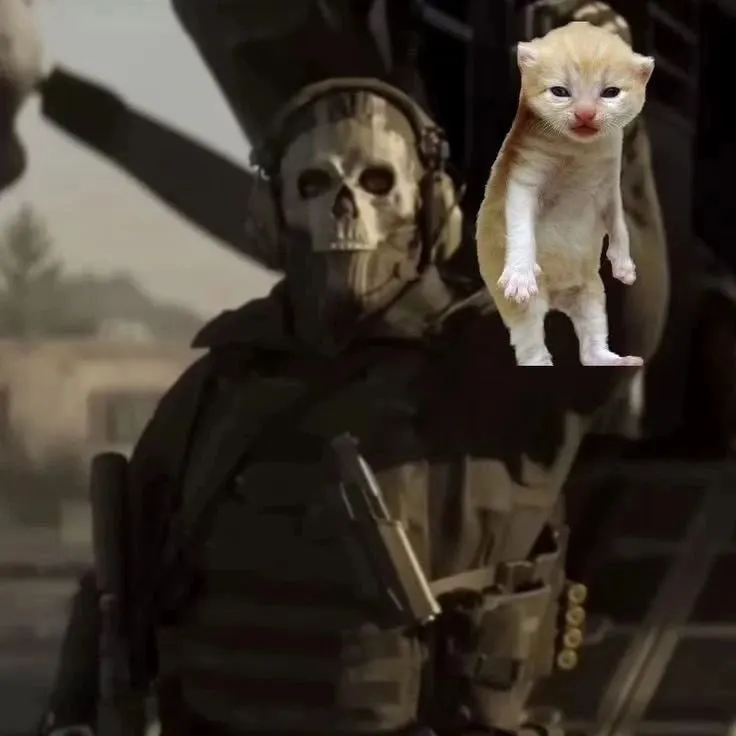 Untitled meme