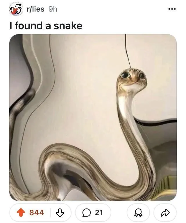Untitled meme