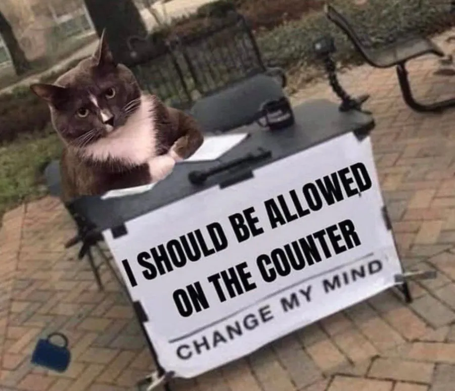 Untitled meme