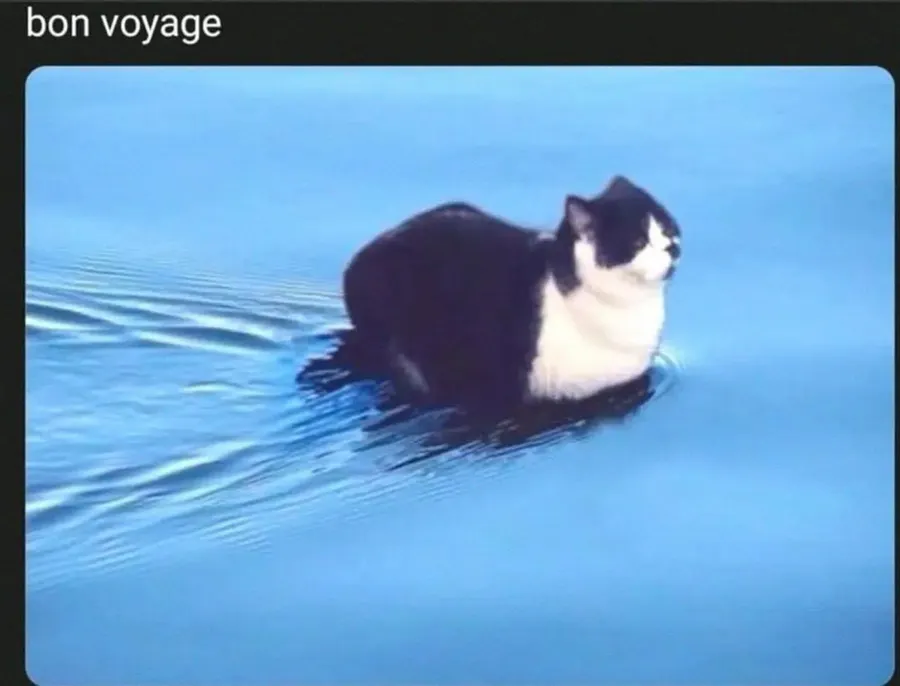 Untitled meme