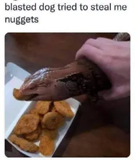 Untitled meme