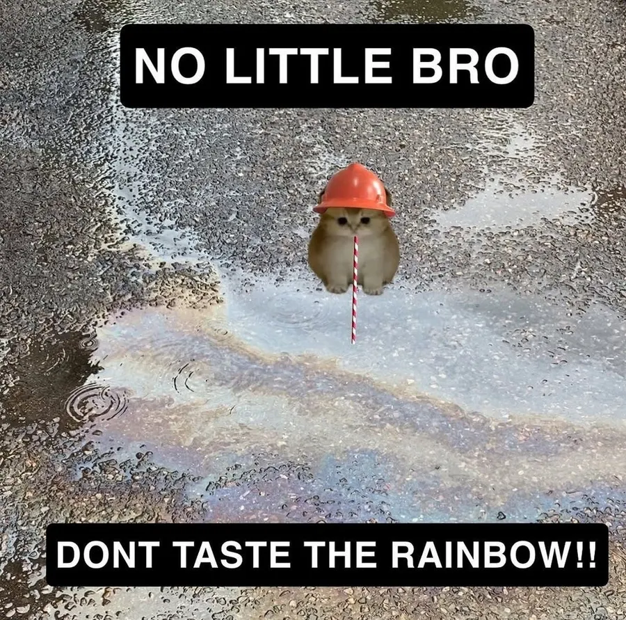Untitled meme