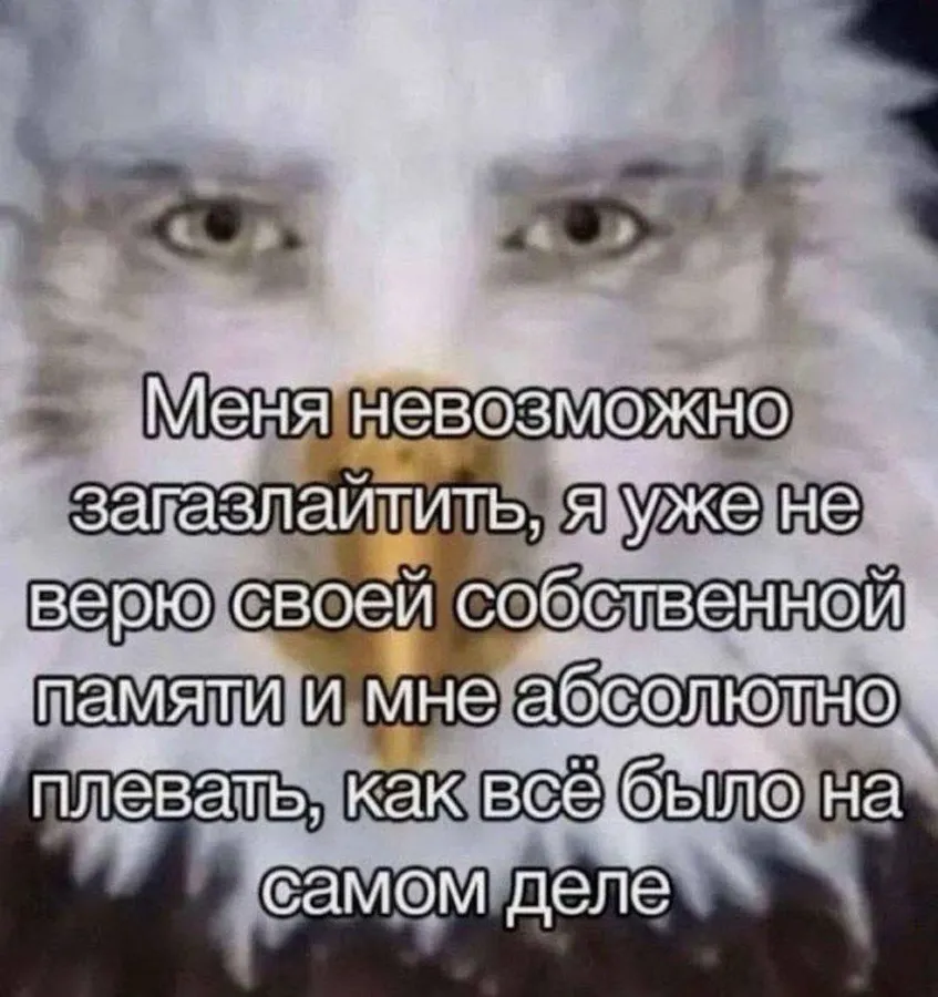 Untitled meme