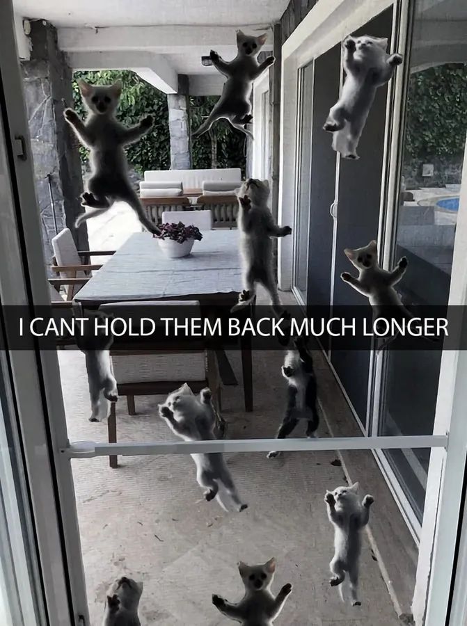 Untitled meme