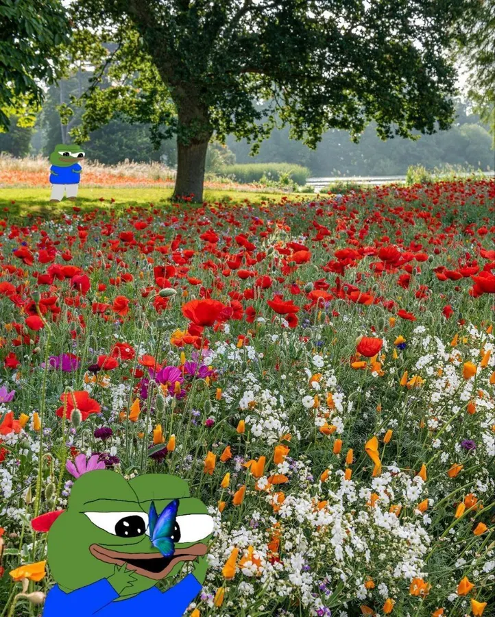 Untitled meme