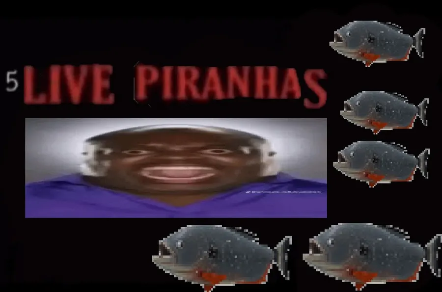 Untitled meme